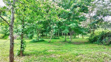 Additional listing photo 3