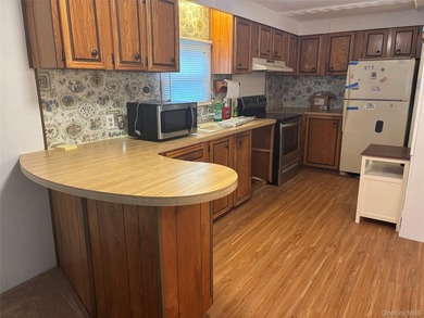 Welcome to Aquebogue Mobile Home Court. - A 55 & Over - photo 11