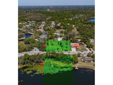 Rare Lake Magdalene Waterfront Opportunity |This expansive - photo 3