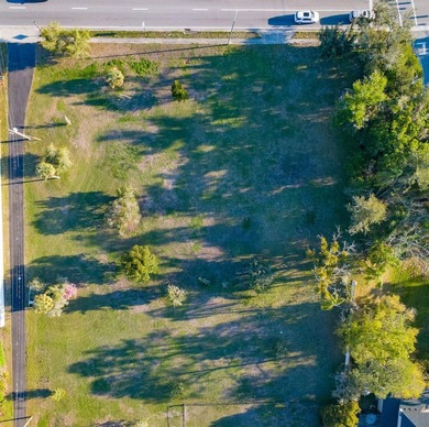 Rare Lake Magdalene Waterfront Opportunity |This expansive - photo 4