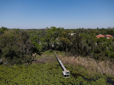 Rare Lake Magdalene Waterfront Opportunity |This expansive - photo 5