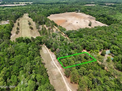 Welcome to Dogwood Lake Estates, where peaceful country living - photo 1