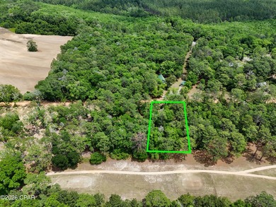 Welcome to Dogwood Lake Estates, where peaceful country living - photo 3