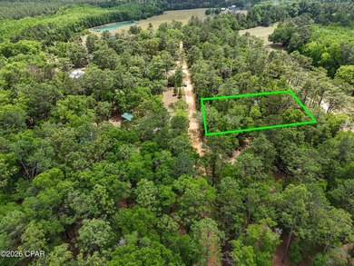 Welcome to Dogwood Lake Estates, where peaceful country living - photo 4