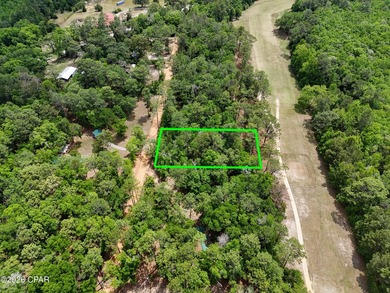 Welcome to Dogwood Lake Estates, where peaceful country living - photo 6