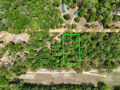 Welcome to Dogwood Lake Estates, where peaceful country living - photo 7