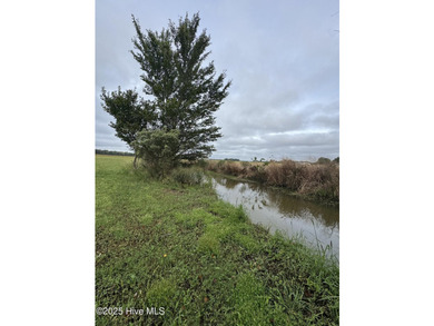 Rare opportunity to build on over an acre in a sought-after - photo 9