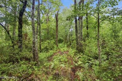 Escape to the peace and privacy of country living with this - photo 42