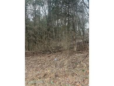 Lake Lot For Sale in Loudon, Tennessee