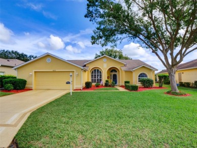 (private lake, pond, creek) Home For Sale in Leesburg Florida