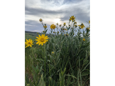 160 sprawling acres of high yielding irrigated farm ground near - photo 11
