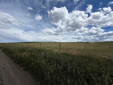 160 sprawling acres of high yielding irrigated farm ground near - photo 17