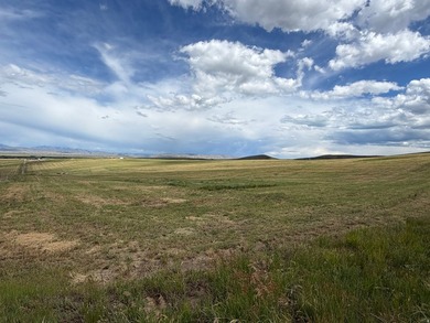 160 sprawling acres of high yielding irrigated farm ground near - photo 21