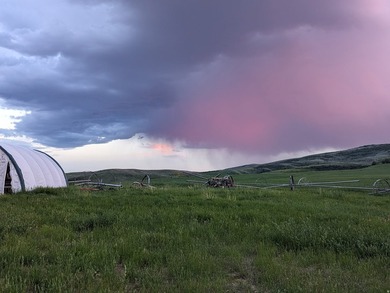 160 sprawling acres of high yielding irrigated farm ground near - photo 24