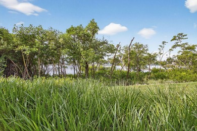 Carriage Residences at Frenchman's Harbor ~ Waterfront - photo 44