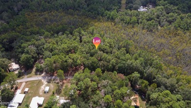 THIS LISTING IS FOR THE PURCHASE OF 2 NON CONTIGUOUS LOTS IN - photo 3