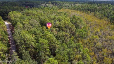 THIS LISTING IS FOR THE PURCHASE OF 2 NON CONTIGUOUS LOTS IN - photo 8