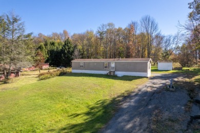 Deer Lake Home For Sale in Windsor New York