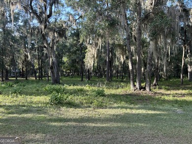Build your dream home beneath a canopy of majestic live oaks in - photo 2
