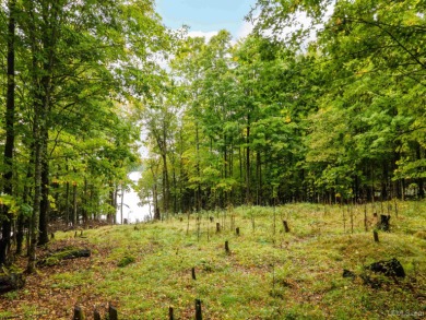 Lake Acreage For Sale in Iron River, Michigan