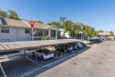 Under contract-accepting backup offers. Welcome to Dunedin - photo 3