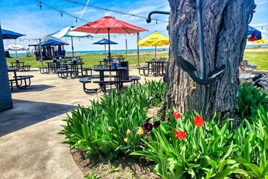 Welcome to When Pigs Fly BBQ Pit-your opportunity to own a truly - photo 8
