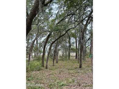 Build your dream home on this beautiful wooded lot on the marsh - photo 3