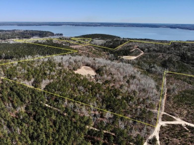 Lake Eufaula / Walter F George Reservoir Acreage For Sale in Abbeville Alabama