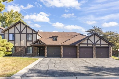 Lake Condo For Sale in Wheaton, Illinois