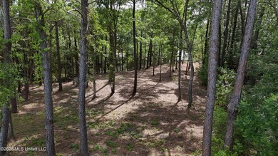 Your search for deep-water access in South Gautier is over! This - photo 11