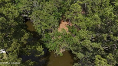 Your search for deep-water access in South Gautier is over! This - photo 12