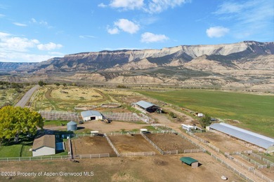 Painted Pitchfork Ranch | 7781 County Road 320, Rifle, Colorado - photo 3