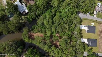 Your search for deep-water access in South Gautier is over! This - photo 13