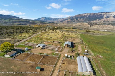 Painted Pitchfork Ranch | 7781 County Road 320, Rifle, Colorado - photo 4