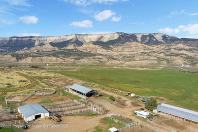 Painted Pitchfork Ranch | 7781 County Road 320, Rifle, Colorado - photo 5