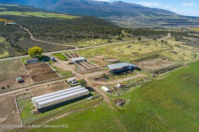 Painted Pitchfork Ranch | 7781 County Road 320, Rifle, Colorado - photo 6