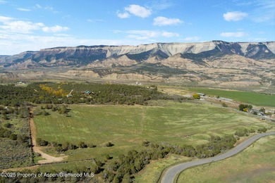Painted Pitchfork Ranch | 7781 County Road 320, Rifle, Colorado - photo 7