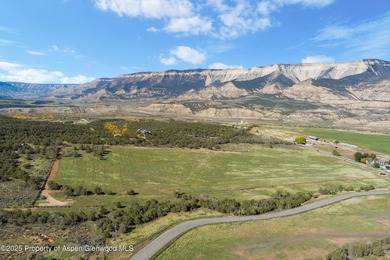 Painted Pitchfork Ranch | 7781 County Road 320, Rifle, Colorado - photo 8