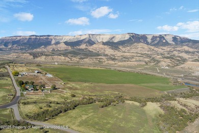 Painted Pitchfork Ranch | 7781 County Road 320, Rifle, Colorado - photo 10