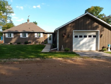 Lake Home For Sale in Beaverton, Michigan