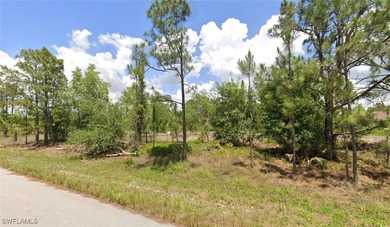 Lehigh Acres Area Lot For Sale in Lehigh Acres Florida