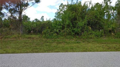 Port Charlotte Waterway Area Lot For Sale in Port Charlotte Florida