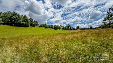 (private lake, pond, coastal) Lot For Sale in Jefferson North Carolina