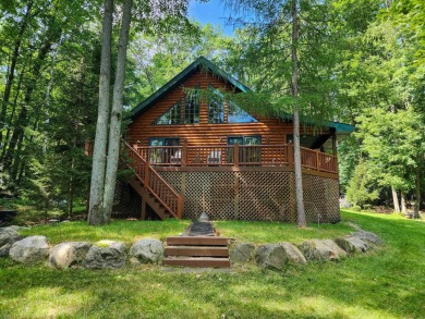 Lake Home For Sale in Farwell, Michigan
