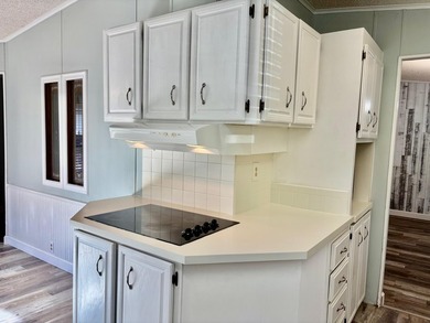DRASTIC PRICE REDUCTION! Land Owned - Remodeled - Lakefront. No - photo 16