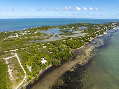 'United States Bankruptcy Auction. The Listing Price is for MLS - photo 22