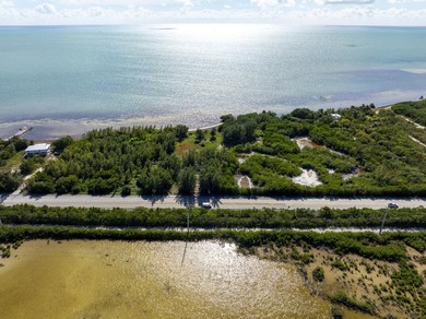 'United States Bankruptcy Auction. The Listing Price is for MLS - photo 29
