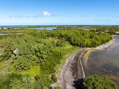 'United States Bankruptcy Auction. The Listing Price is for MLS - photo 49