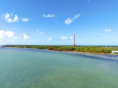 'United States Bankruptcy Auction. The Listing Price is for MLS - photo 50