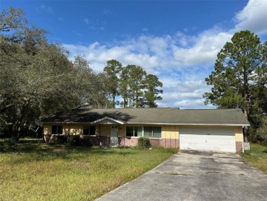 Bonable Lake Home For Sale in Dunnellon Florida